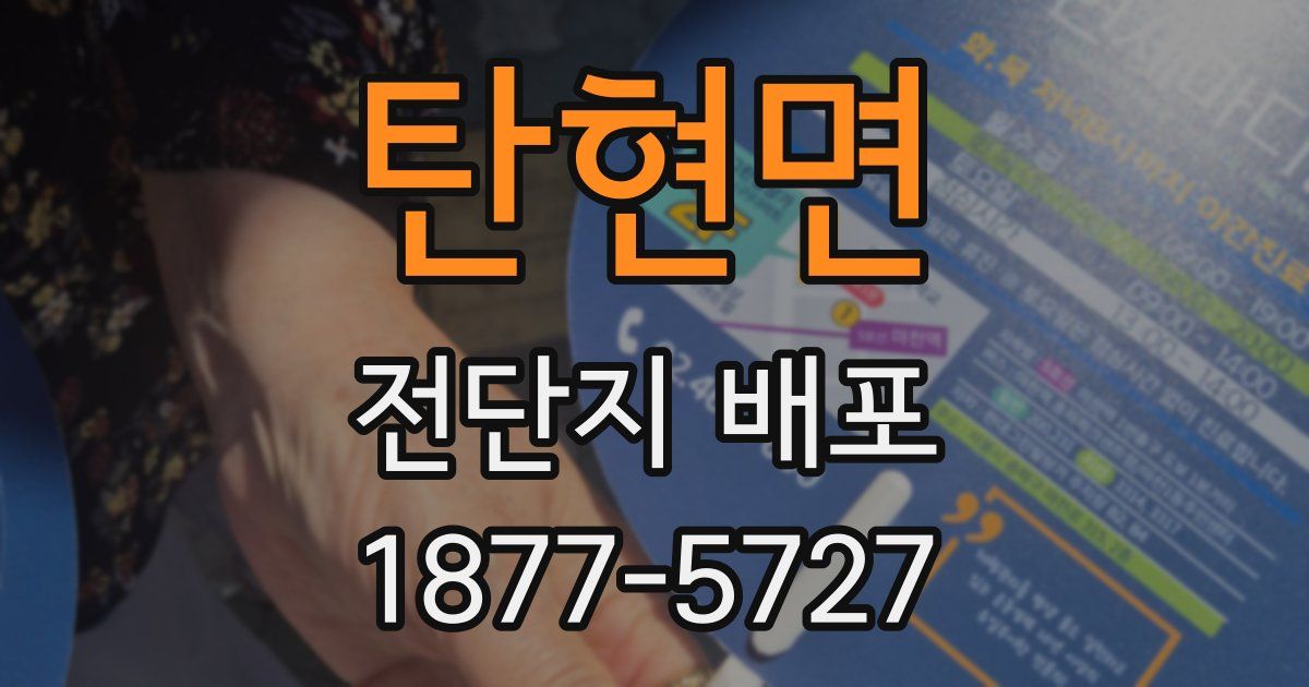 탄현면 전단지 배포
