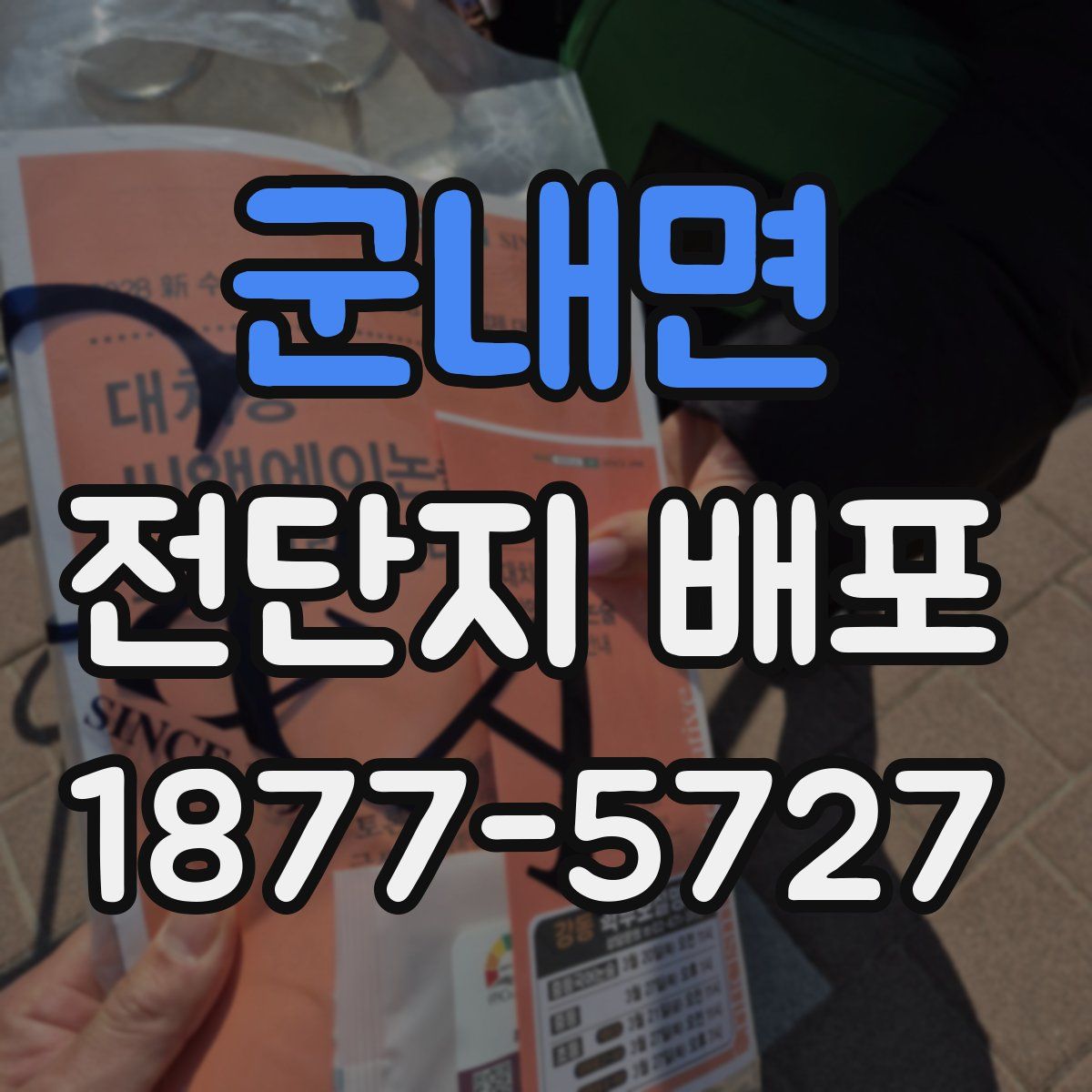 군내면 전단지 배포