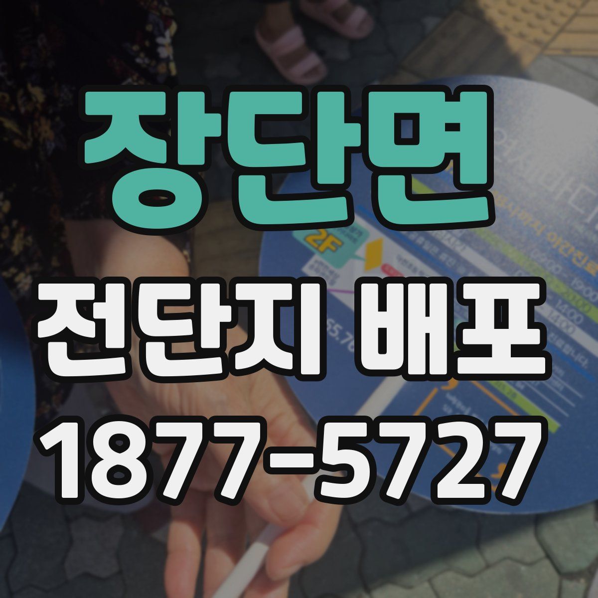 장단면 전단지 배포