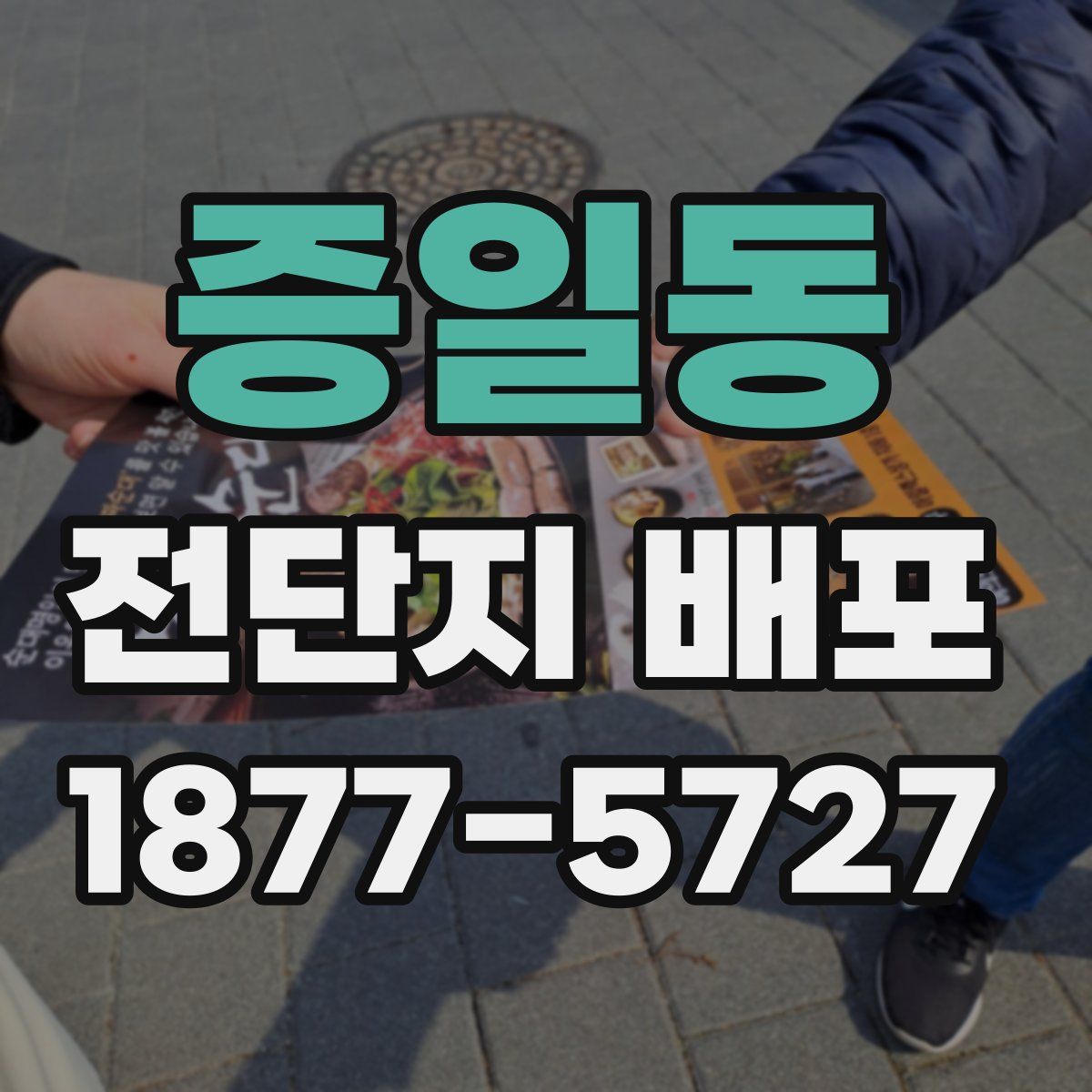 증일동 전단지 배포