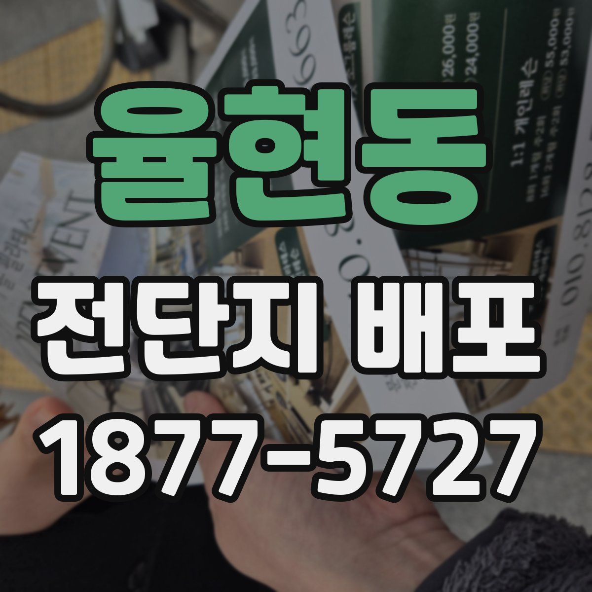 율현동 전단지 배포