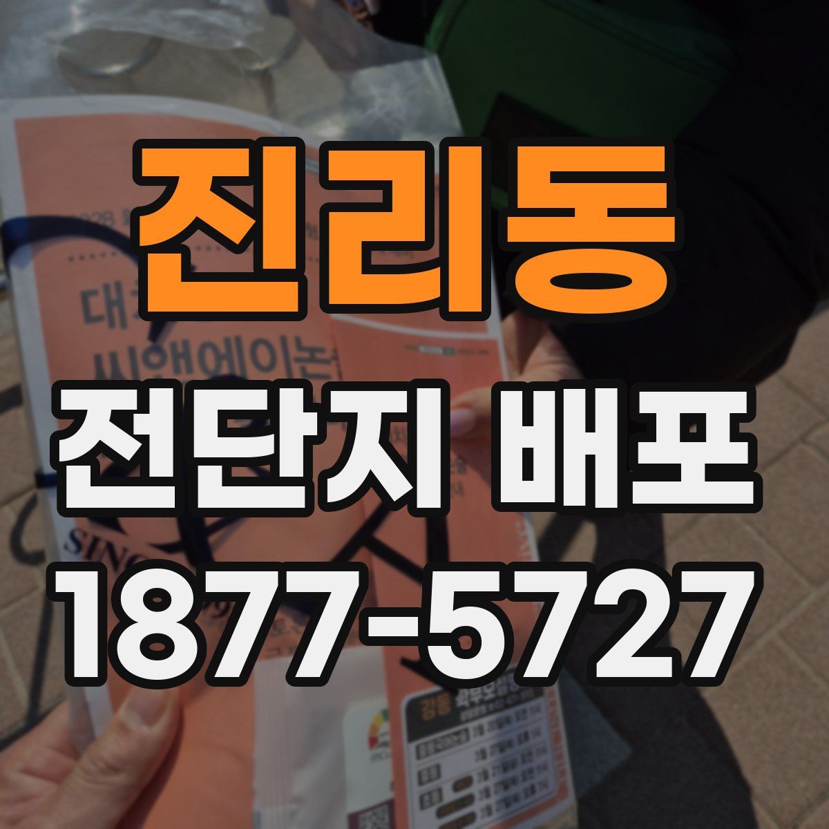 진리동 전단지 배포