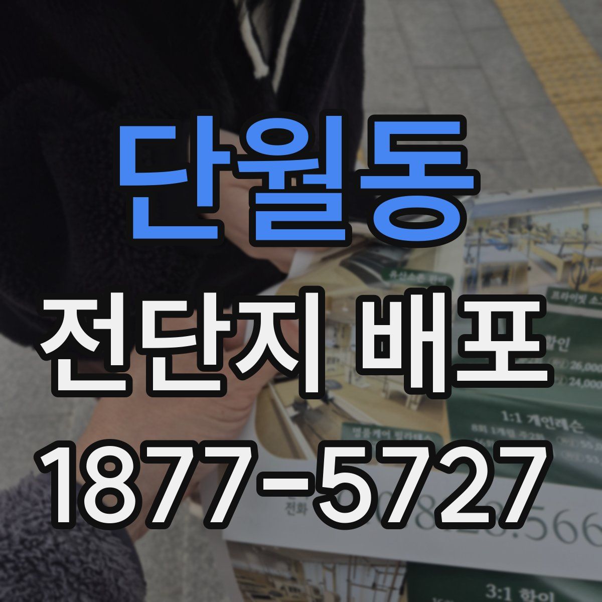 단월동 전단지 배포