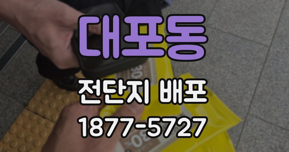 대포동 전단지 배포