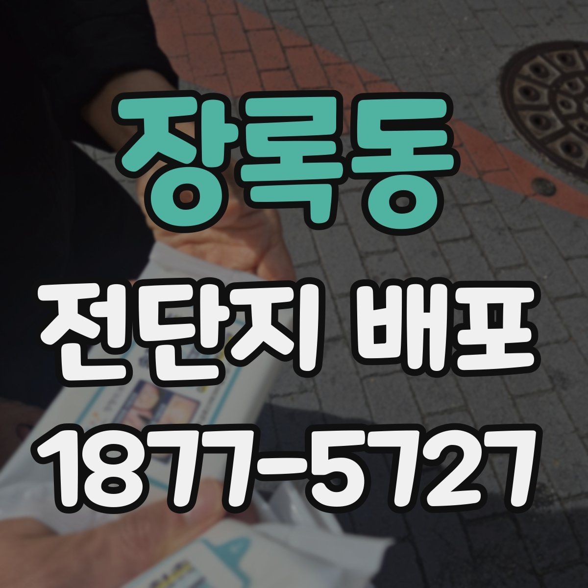 장록동 전단지 배포