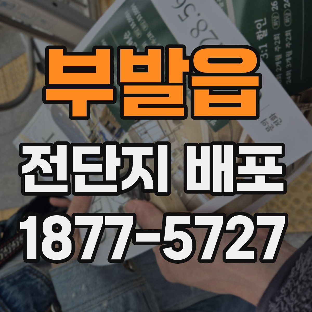 부발읍 전단지 배포