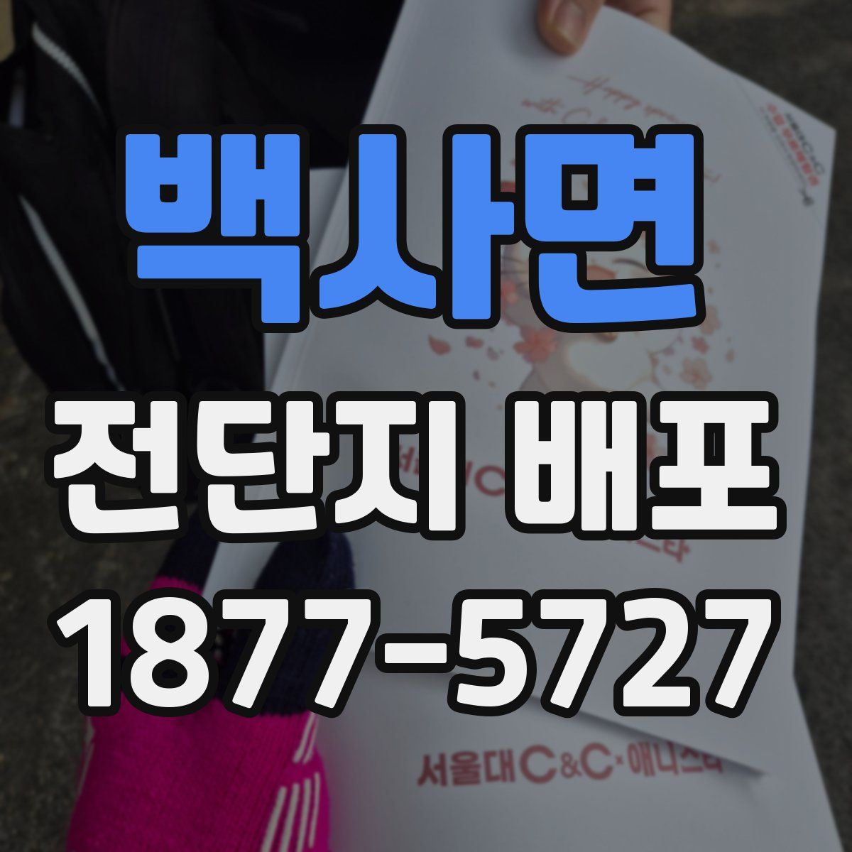 백사면 전단지 배포