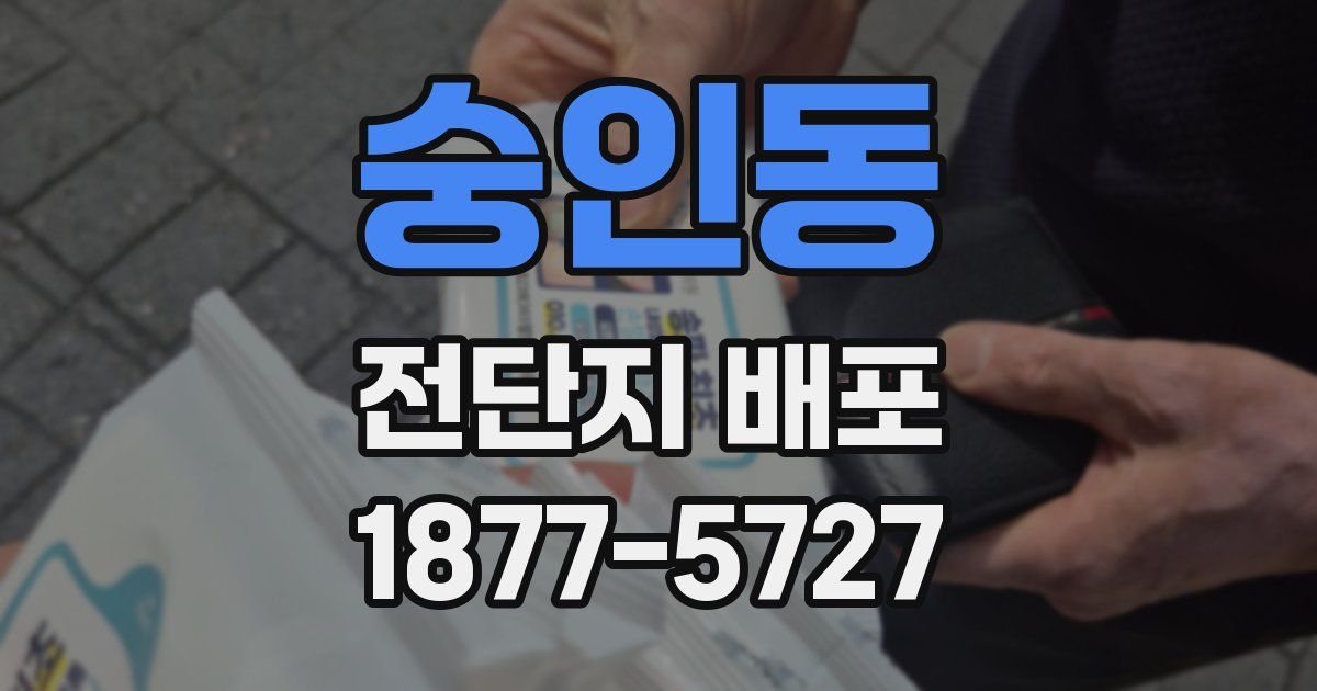 숭인동 전단지 배포