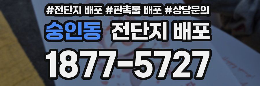숭인동 전단지 배포