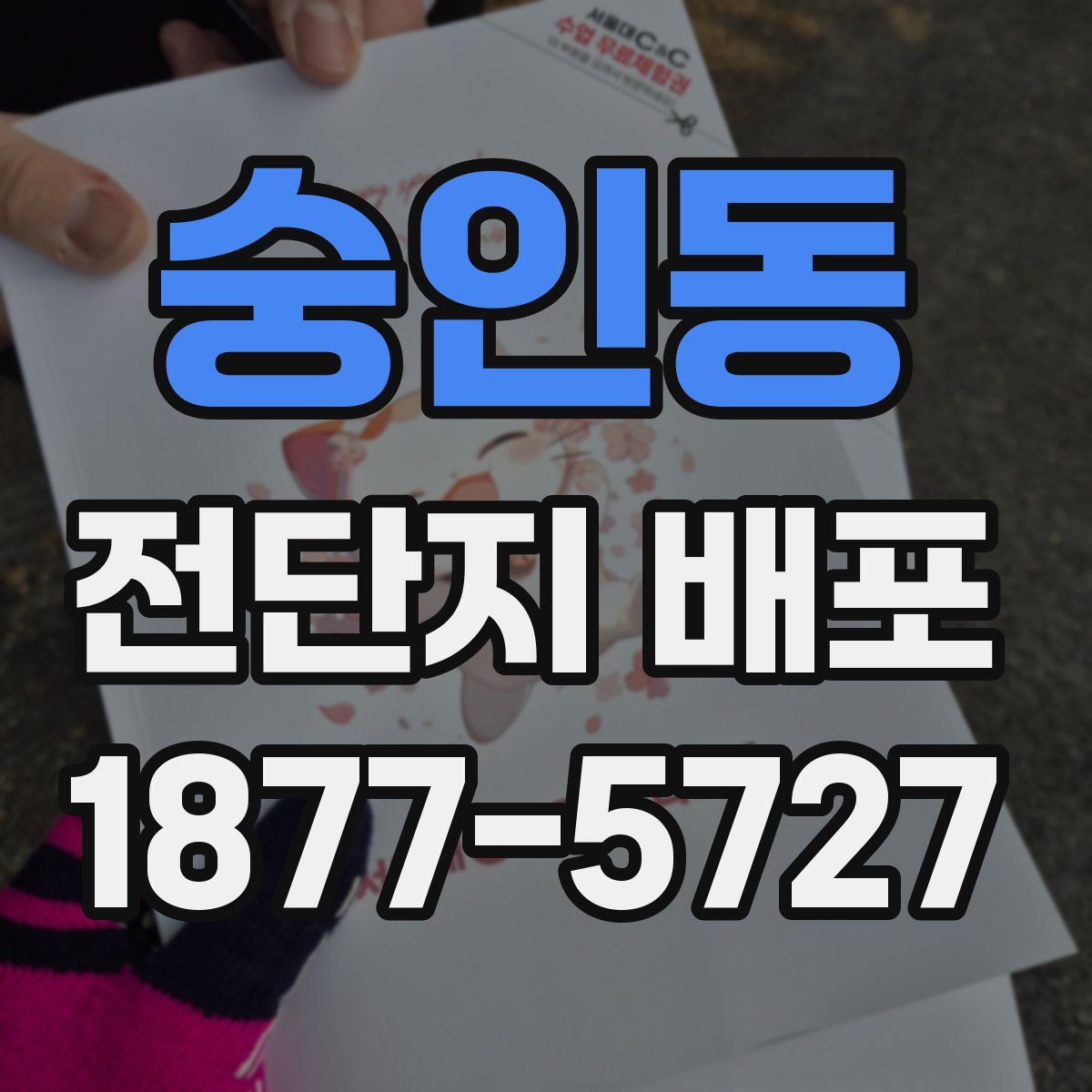 숭인동 전단지 배포