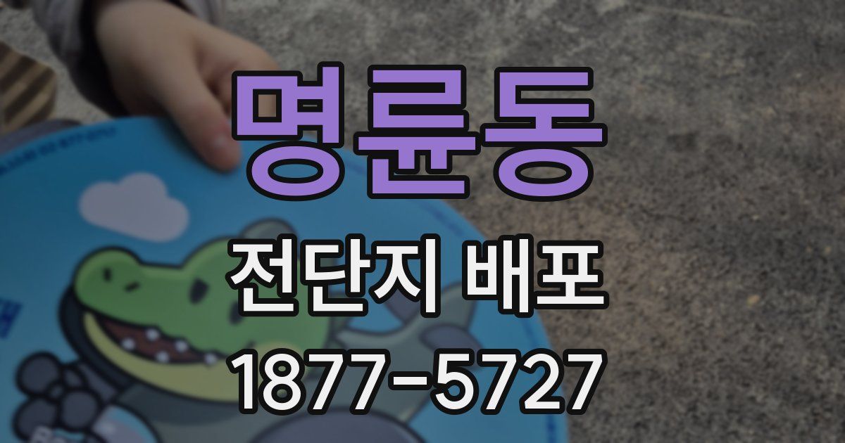 명륜동 전단지 배포