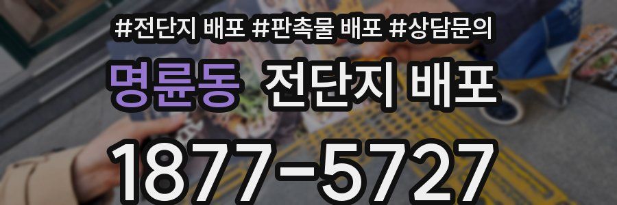 명륜동 전단지 배포