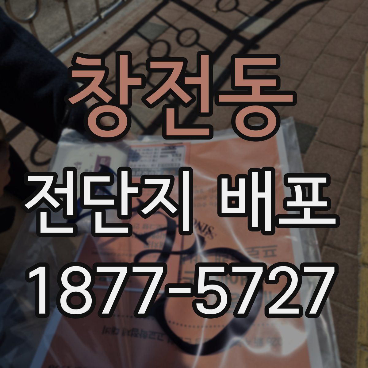창전동 전단지 배포