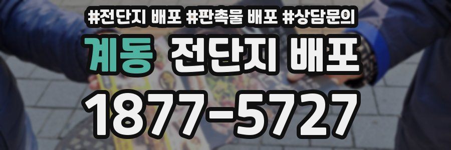 계동 전단지 배포
