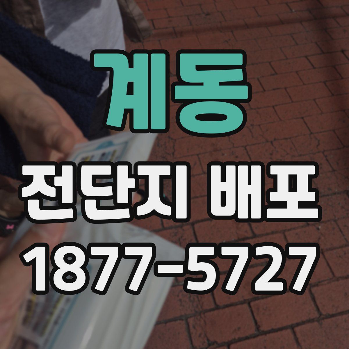 계동 전단지 배포