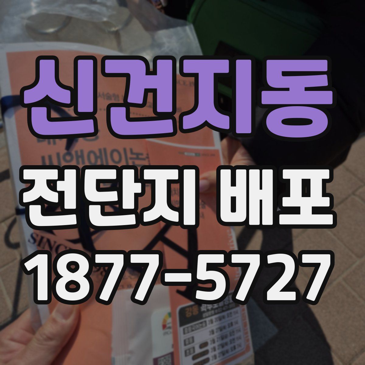 신건지동 전단지 배포