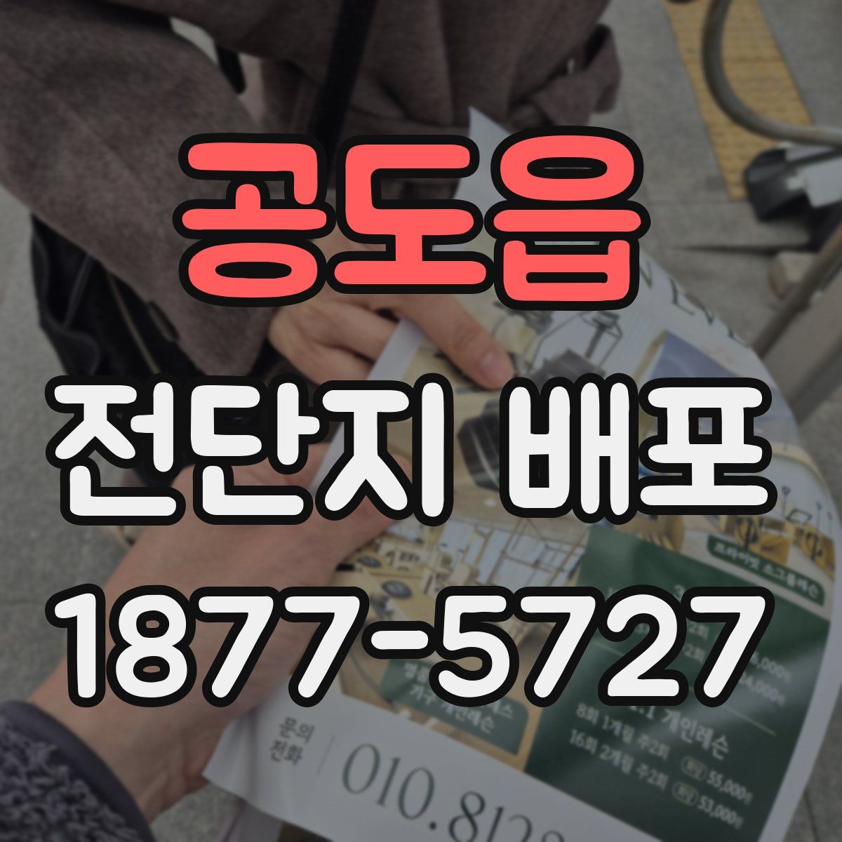 공도읍 전단지 배포