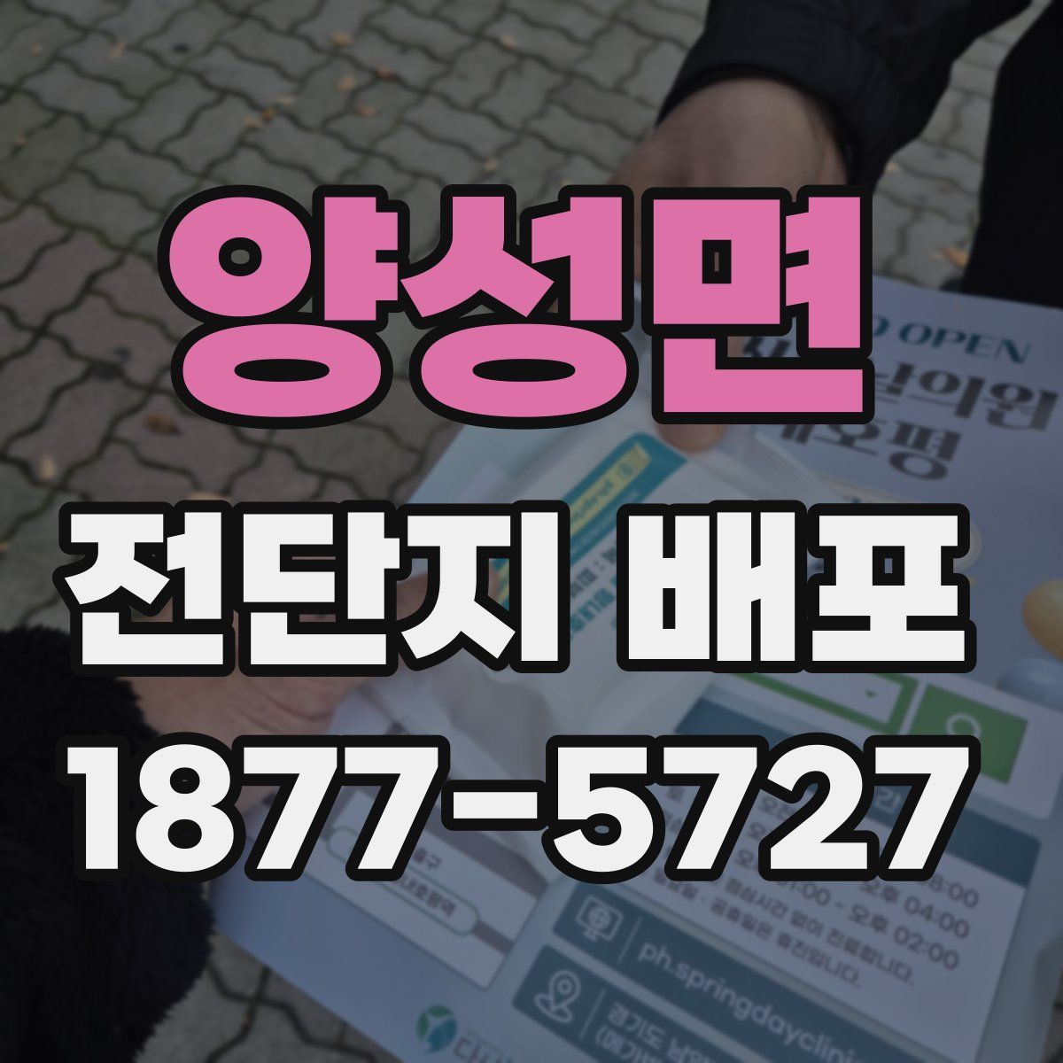 양성면 전단지 배포