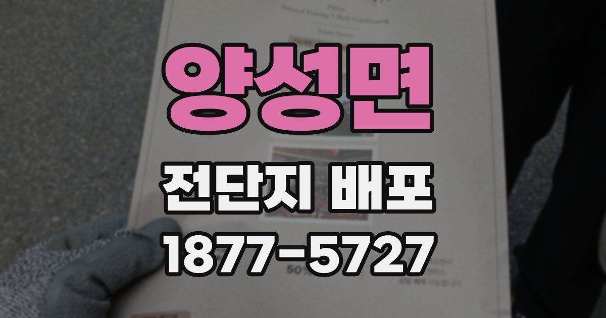 양성면 전단지 배포