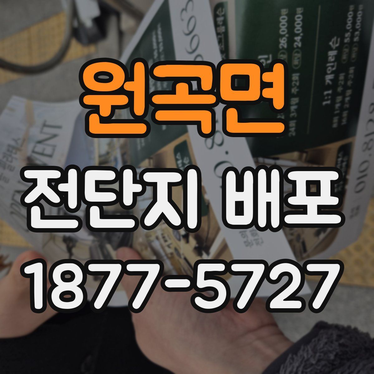 원곡면 전단지 배포