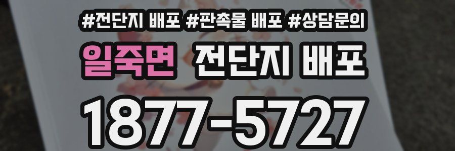 일죽면 전단지 배포