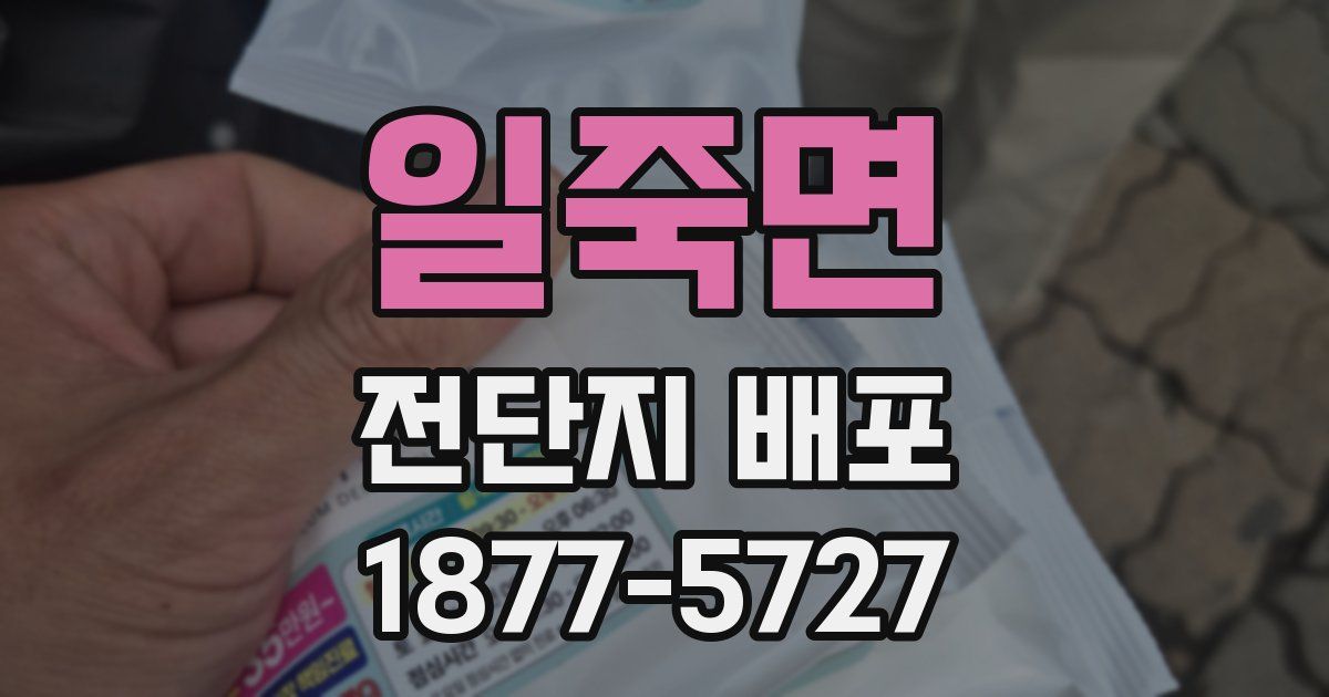 일죽면 전단지 배포