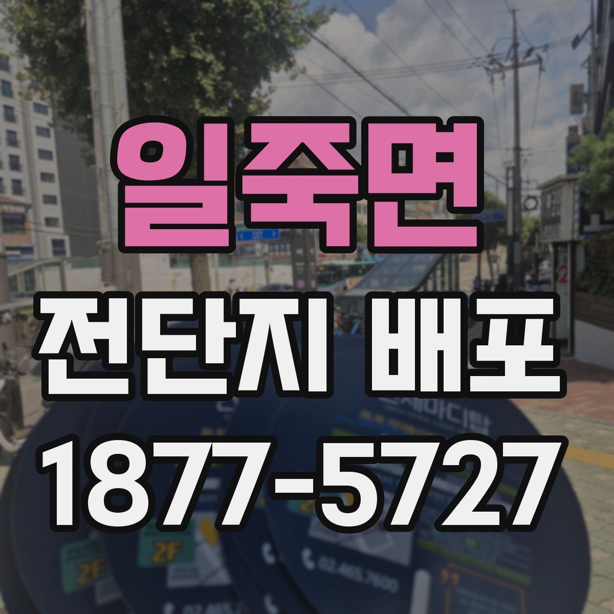 일죽면 전단지 배포