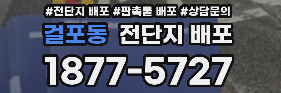 걸포동 전단지 배포