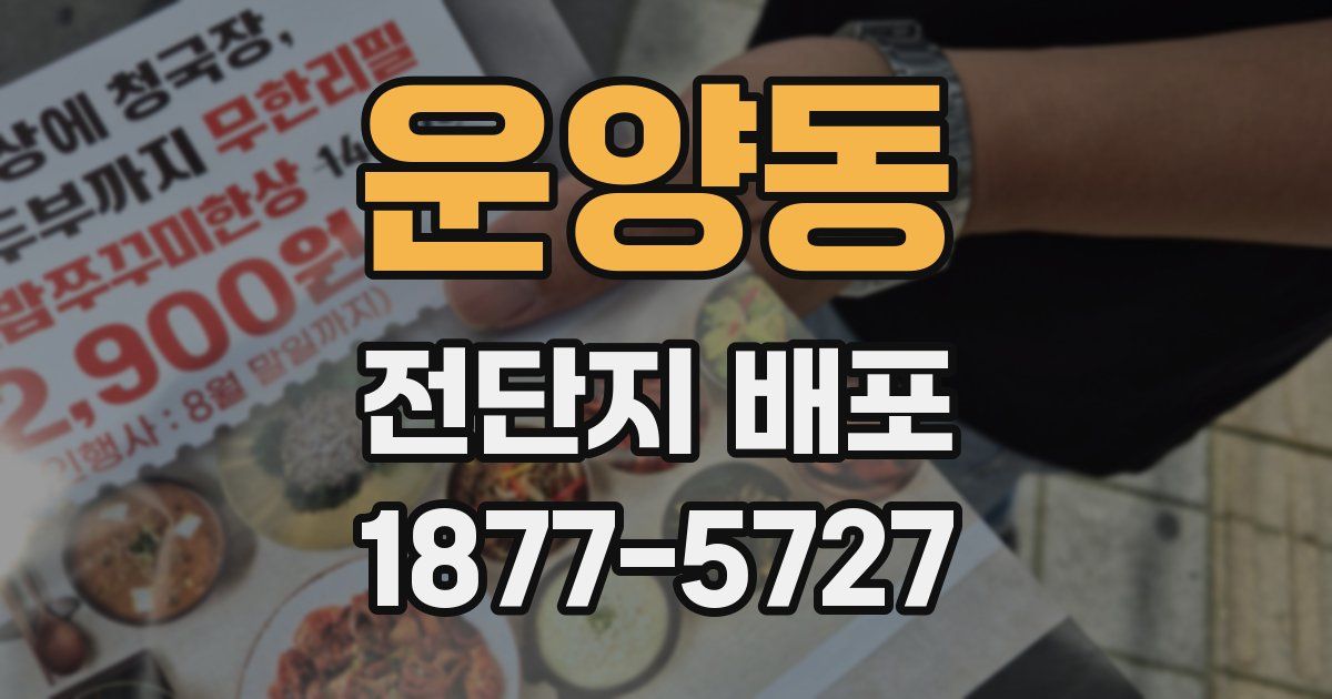 운양동 전단지 배포