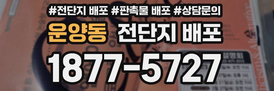 운양동 전단지 배포