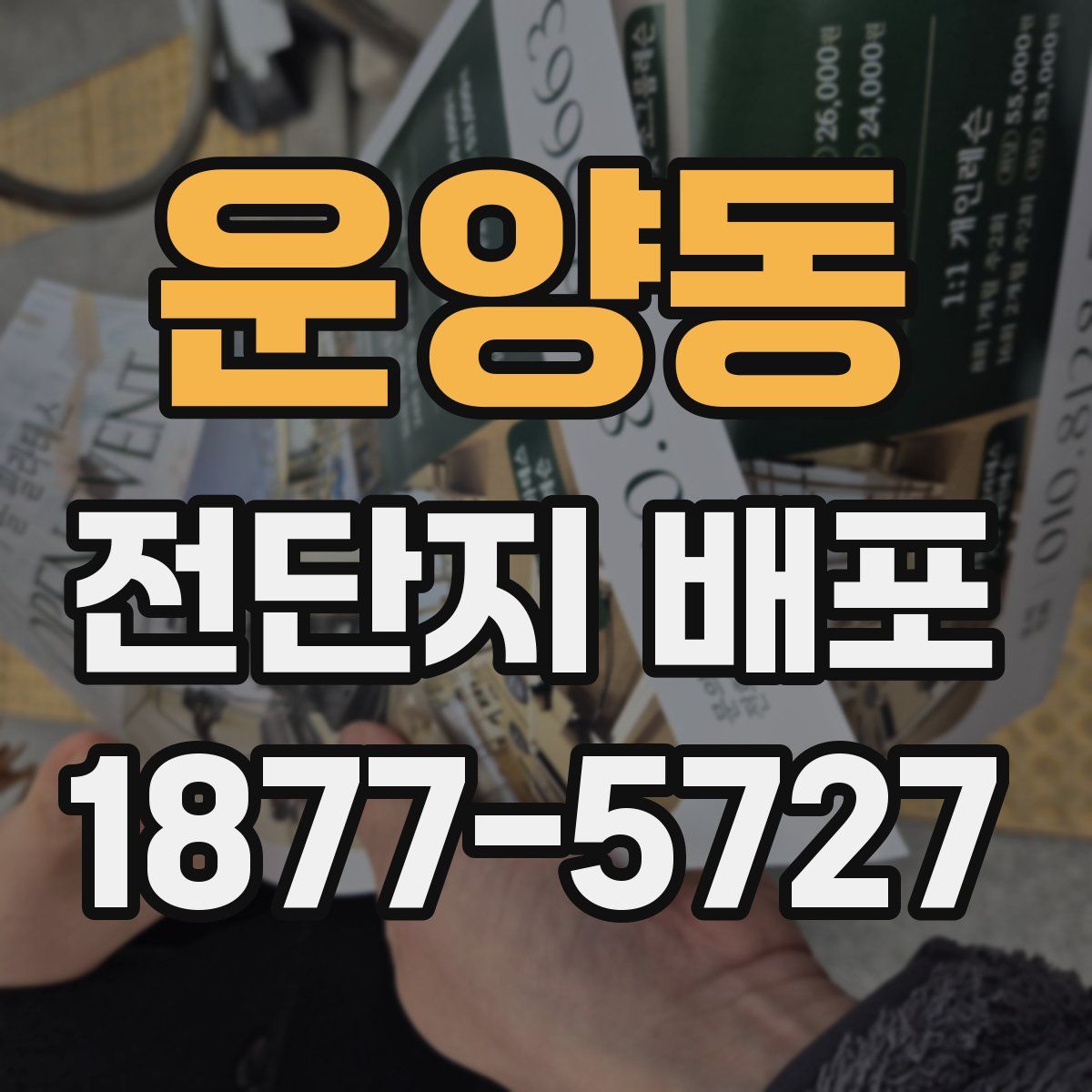 운양동 전단지 배포