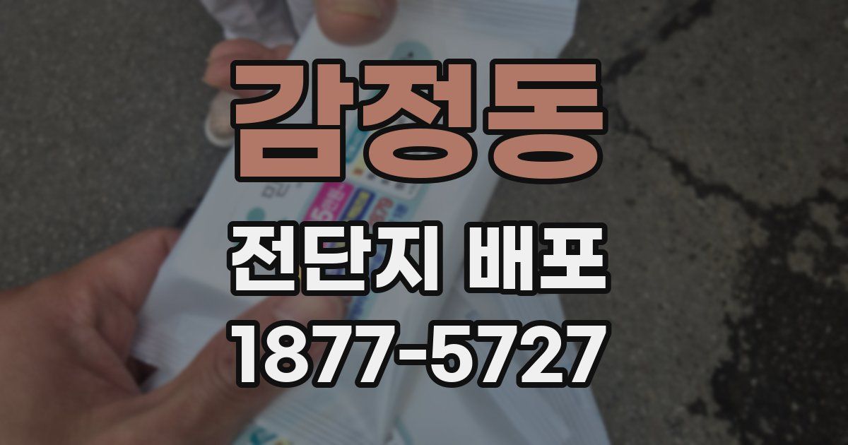 감정동 전단지 배포