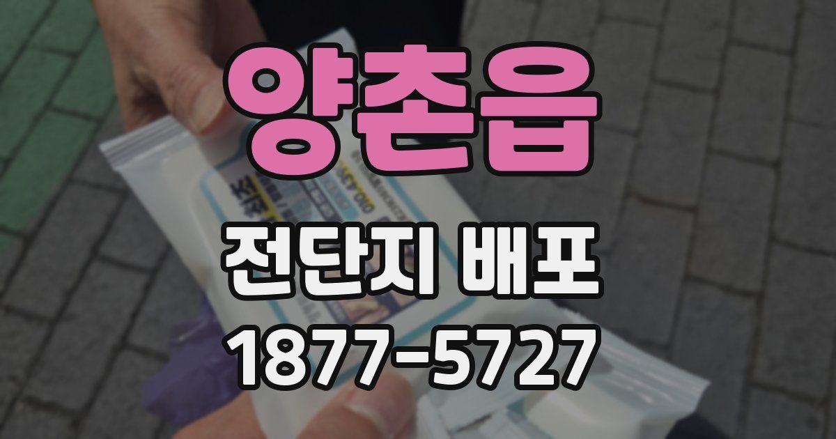 양촌읍 전단지 배포