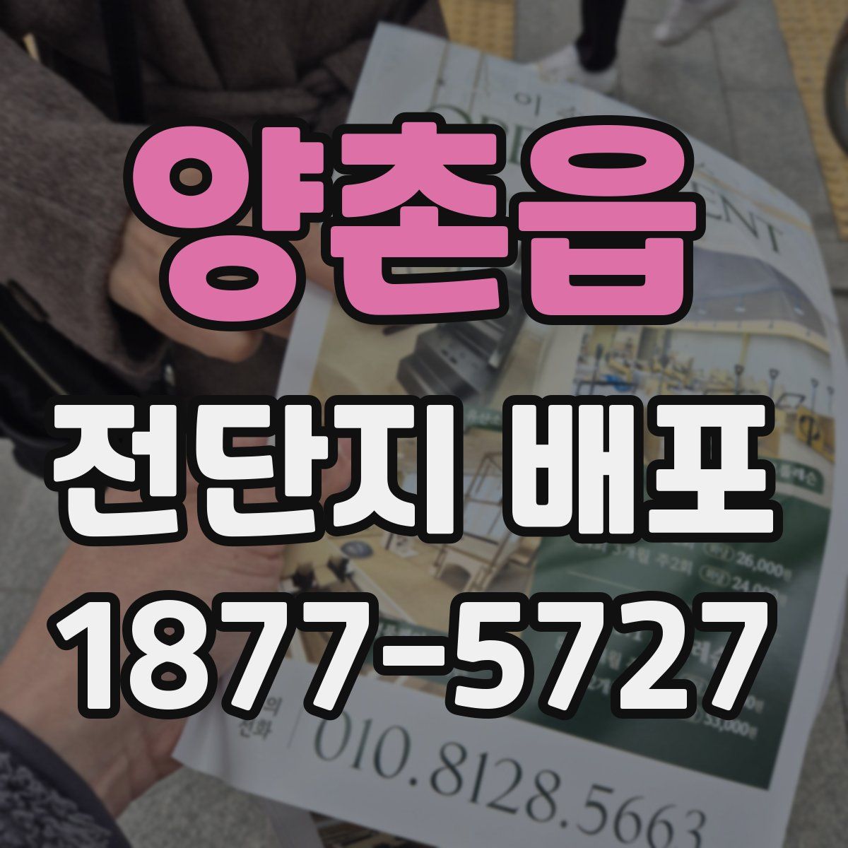 양촌읍 전단지 배포