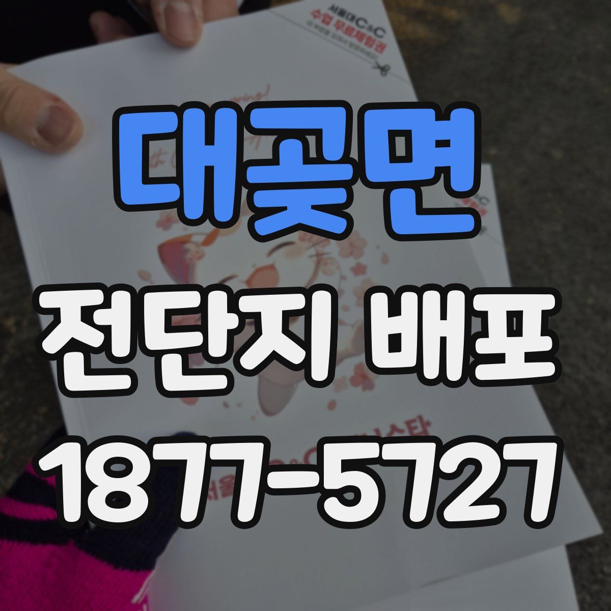 대곶면 전단지 배포
