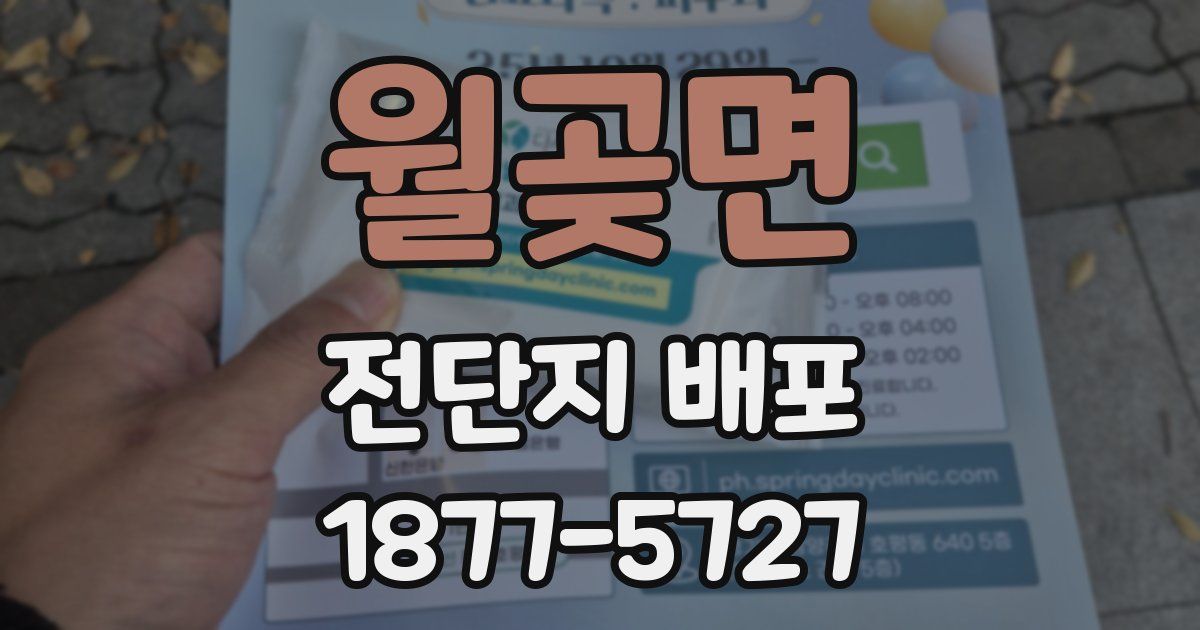 월곶면 전단지 배포