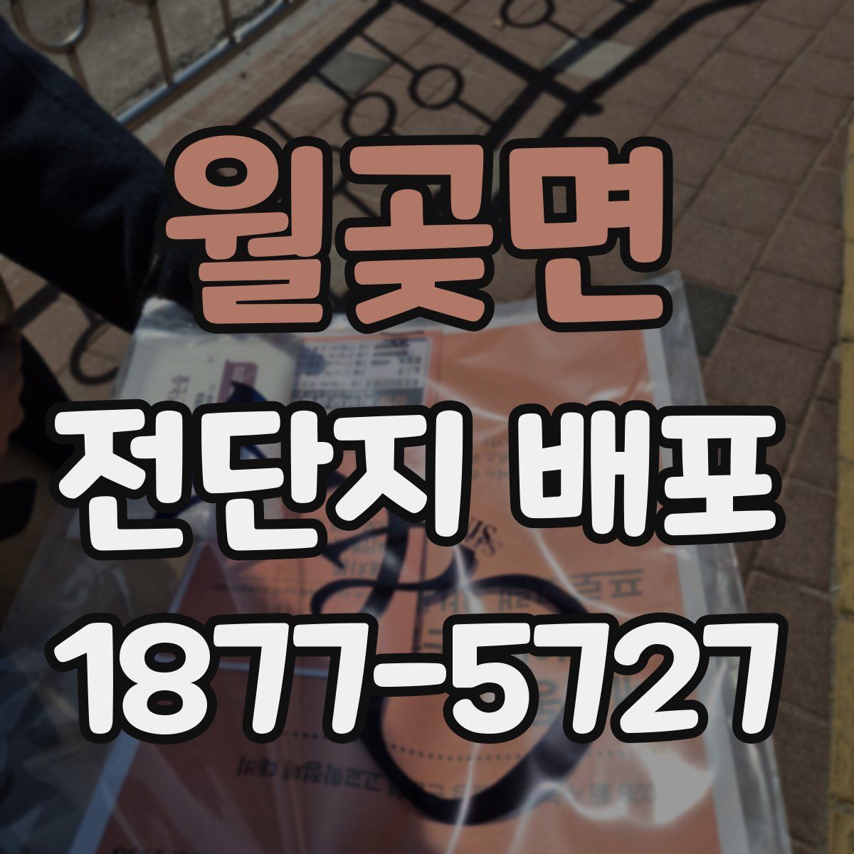 월곶면 전단지 배포