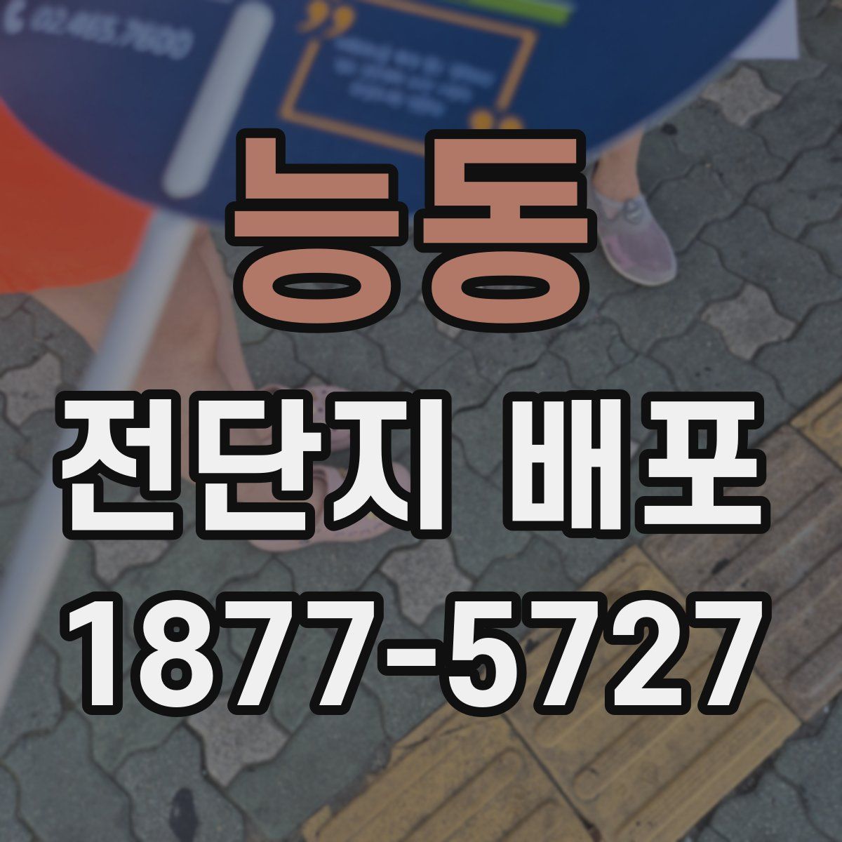 능동 전단지 배포