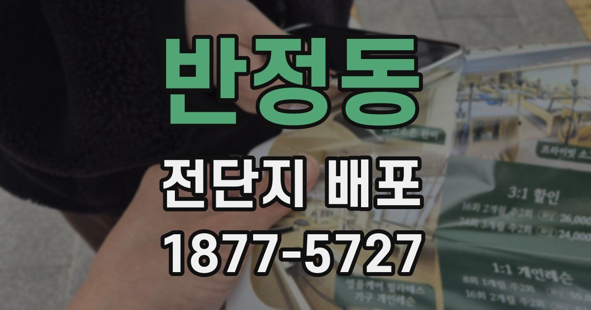 반정동 전단지 배포