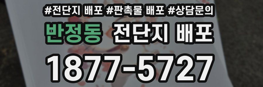 반정동 전단지 배포