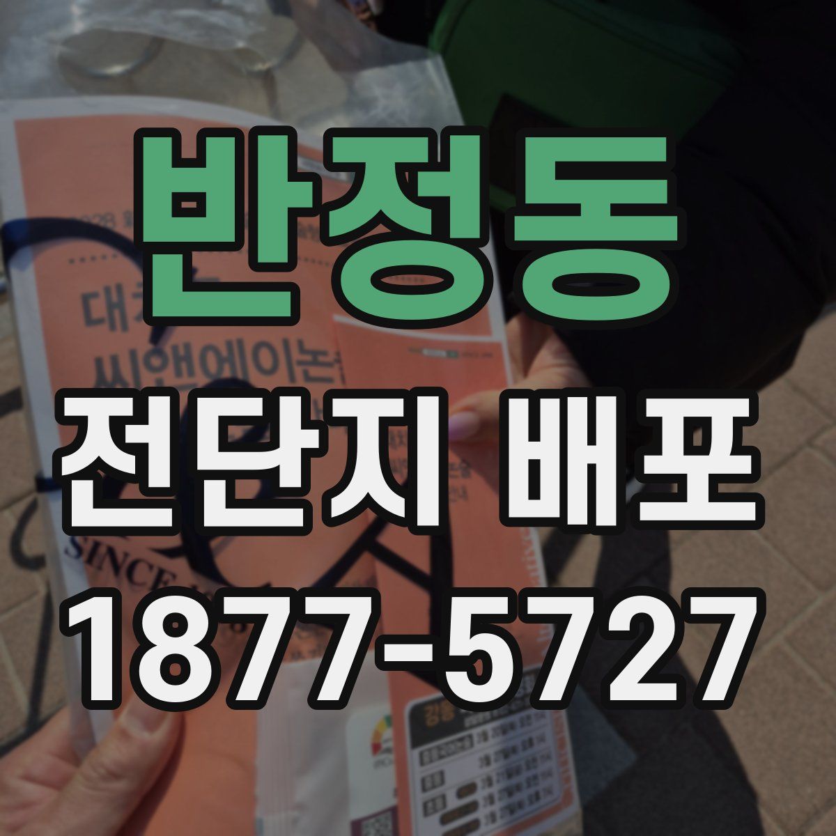 반정동 전단지 배포