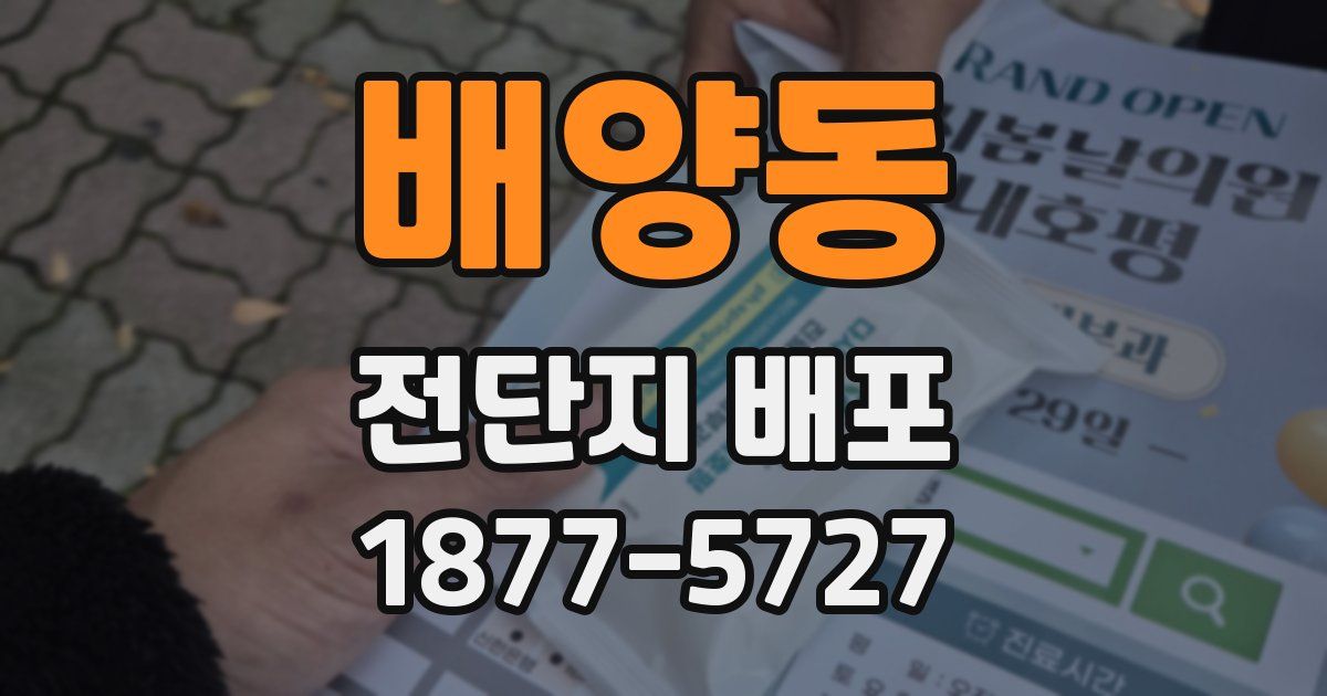 배양동 전단지 배포