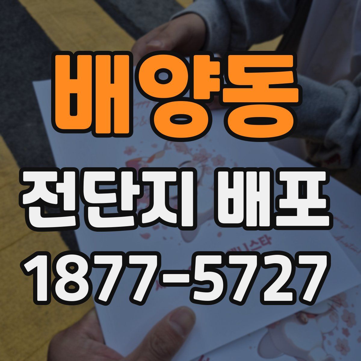 배양동 전단지 배포