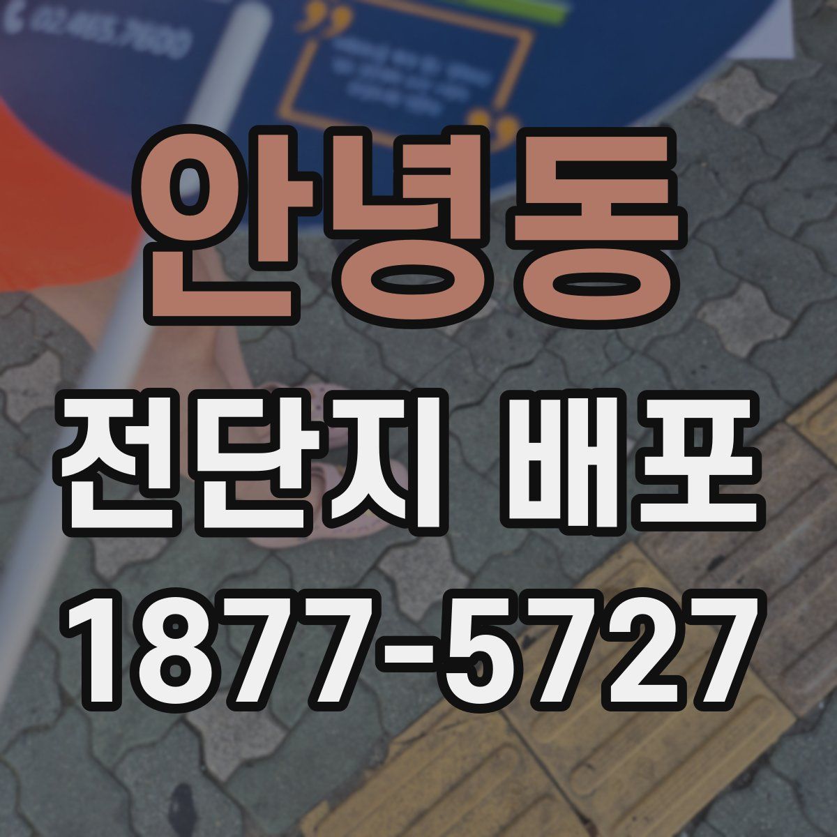 안녕동 전단지 배포