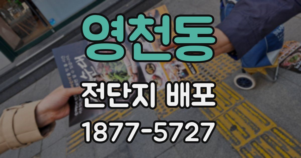 영천동 전단지 배포