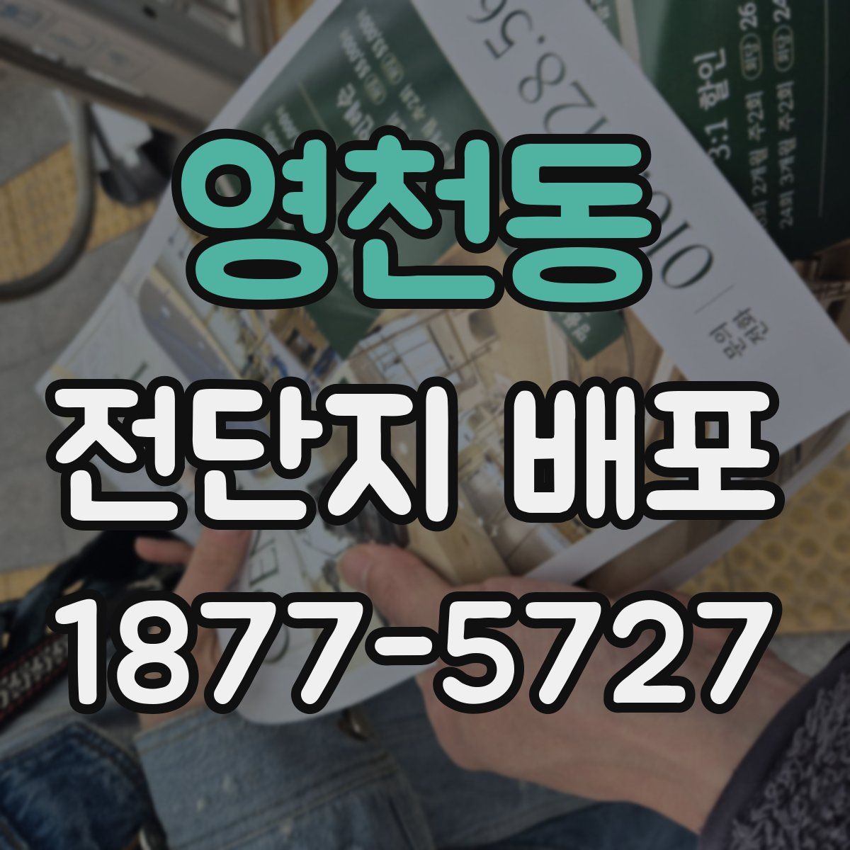 영천동 전단지 배포