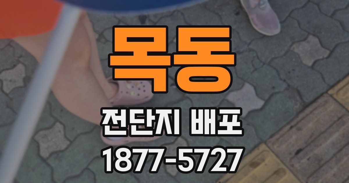 목동 전단지 배포
