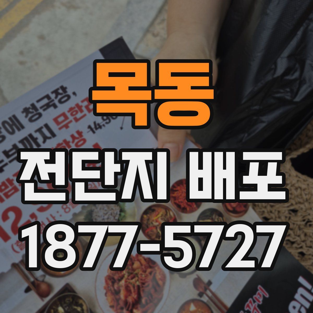 목동 전단지 배포