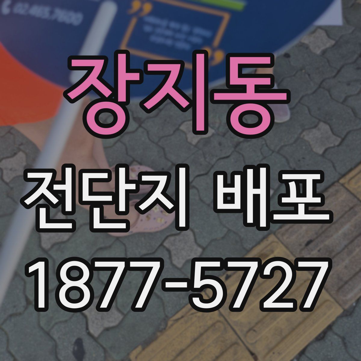장지동 전단지 배포