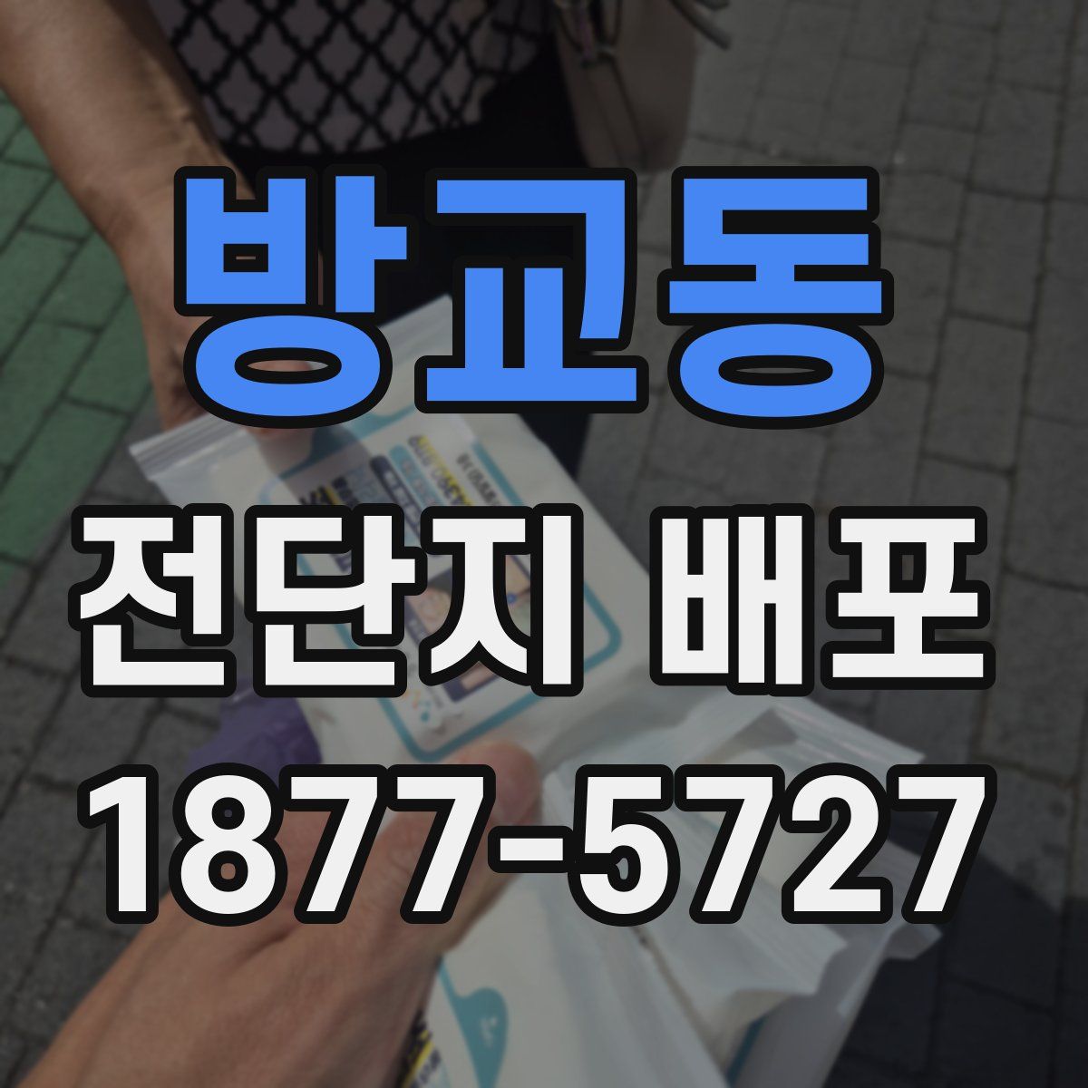 방교동 전단지 배포